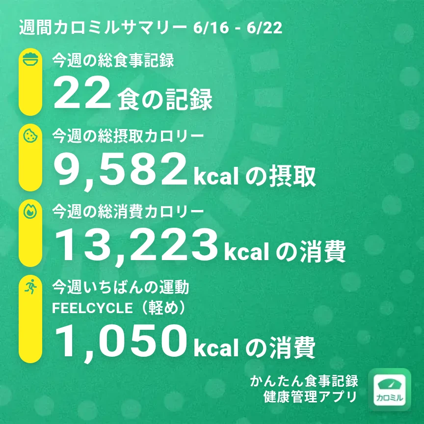 鶏肉の照り焼き